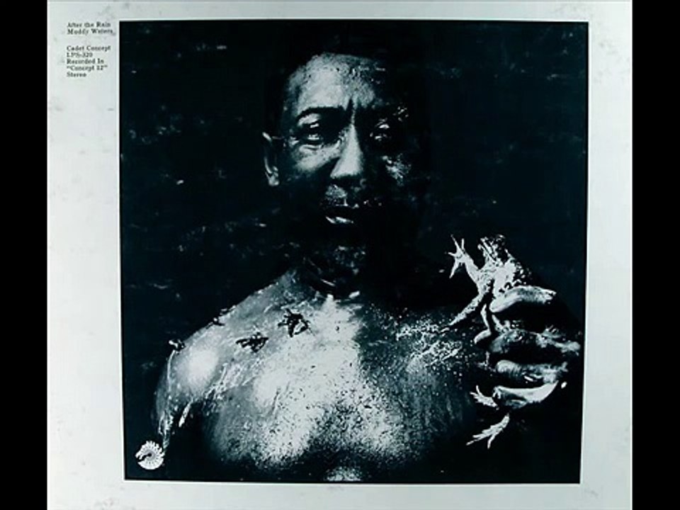 Muddy Waters - I Am The Blues