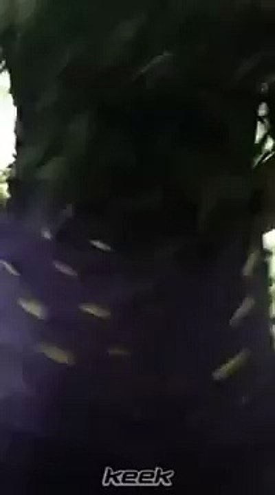 رقص منزلي سعودي خليجي لبناني سوري دقني معلاية كيك 2