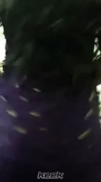 رقص منزلي سعودي خليجي لبناني سوري دقني معلاية كيك 2