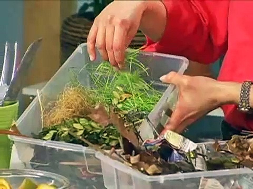 Making Your Own Compost