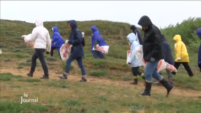 Bretignolles : Des bénévoles nettoient les dunes (Vendée)