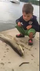 fish slaps kid funny video