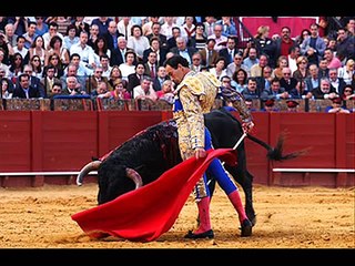 toros y cornadas