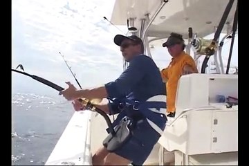 Yellowfin Tuna in Stand-up - Solo!