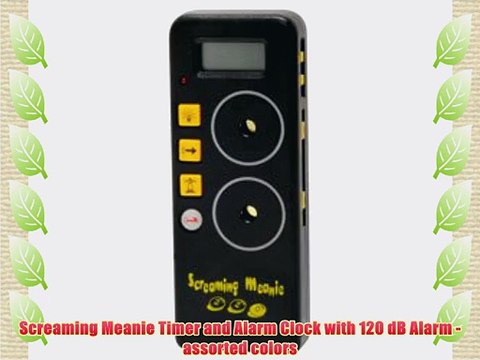 Screaming Meanie Timer and Alarm Clock with 120 dB Alarm - assorted colors