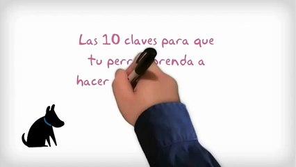 Cómo enseñar a tu perro a ir al baño
