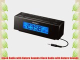 Clock Radio with Nature Sounds Clock Radio with Nature Sounds