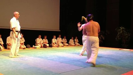 Premier festival d'arts martiaux d'Albert