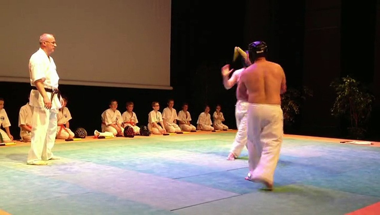 Premier festival d'arts martiaux d'Albert