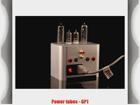 GemTune Mini 2013 Amplifier Driver tubes - 6J1 Power tubes - 6P1 Really Cute by Gemini Doctor