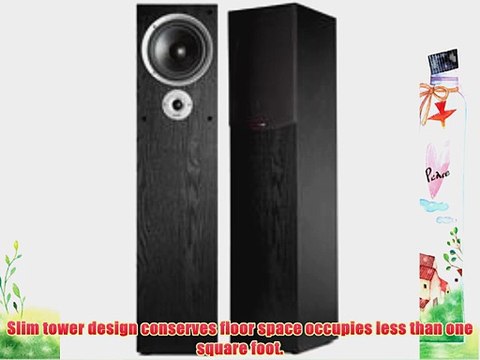 Polk Audio R300 Black Two-Way Floor-Standing Loudspeaker (Single)