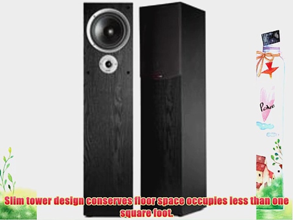 Polk Audio R300 Black Two-Way Floor-Standing Loudspeaker (Single)