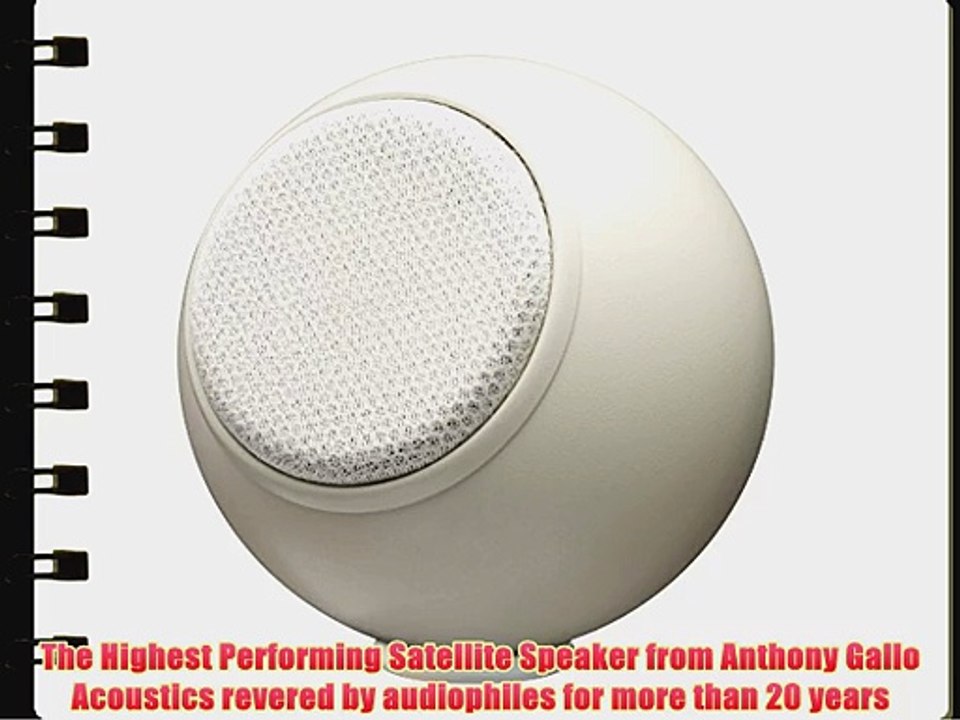 A'Diva SE Loudspeaker-Matte White