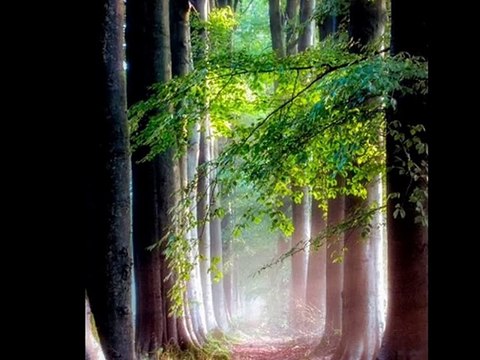 Christina Perri - A Thousand Years