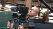 Funny Horse Bites Cameraman's Ear || AmazingLife247