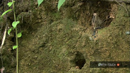 Nature's landscapes & hard-working insects