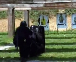 Special police unit Alfe (Croatia)