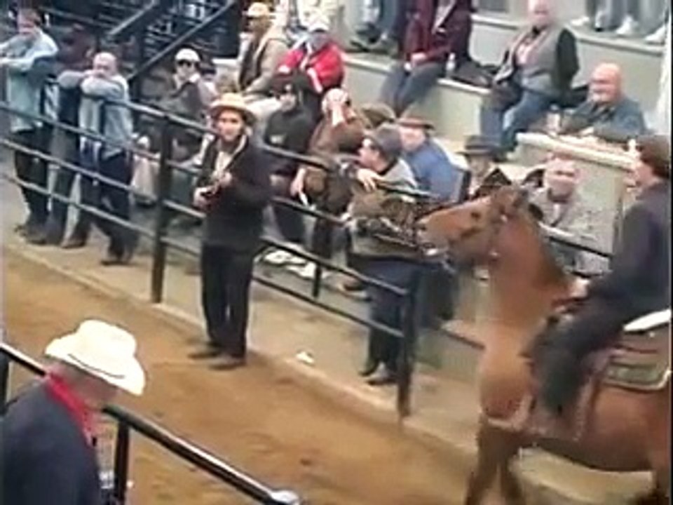 The Amish - A People of Preservation 2000