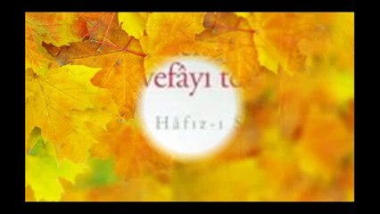 Sevgilinin dudağına gömün gitsin