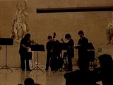 Musiciens aux nocturnes du Louvre