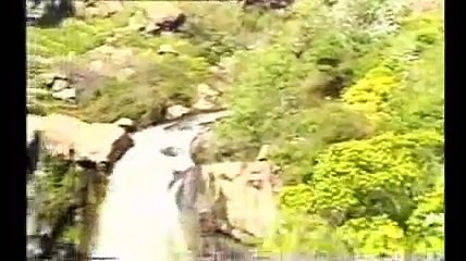 National Anthem Palestine  เพลงชาติปาเลสไตน์ (เมาตีนี)