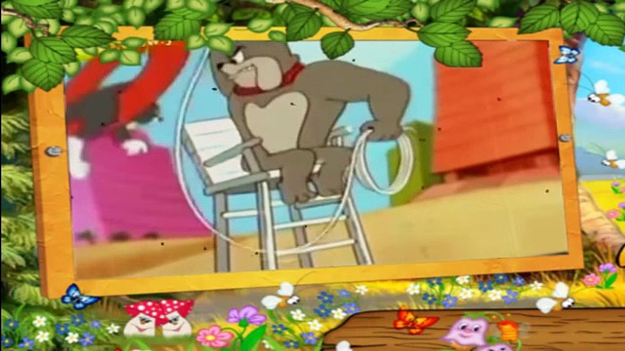 Tom ve Jerry Plajda