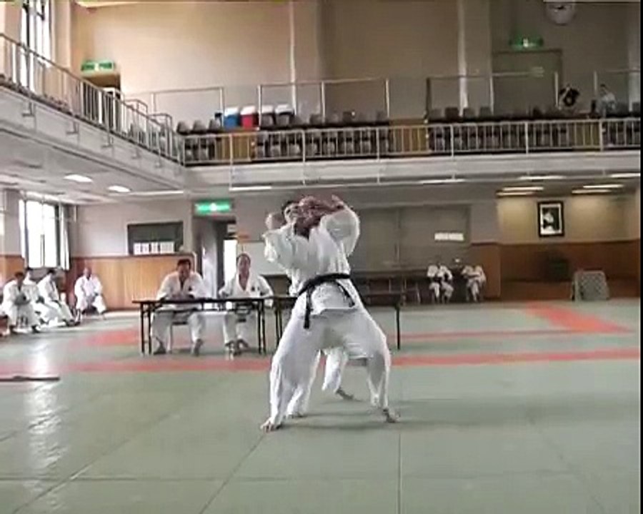 Goshin-Jutsu, the good bits