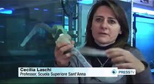 Italian scientists create soft-bodied robotic octopus arm
