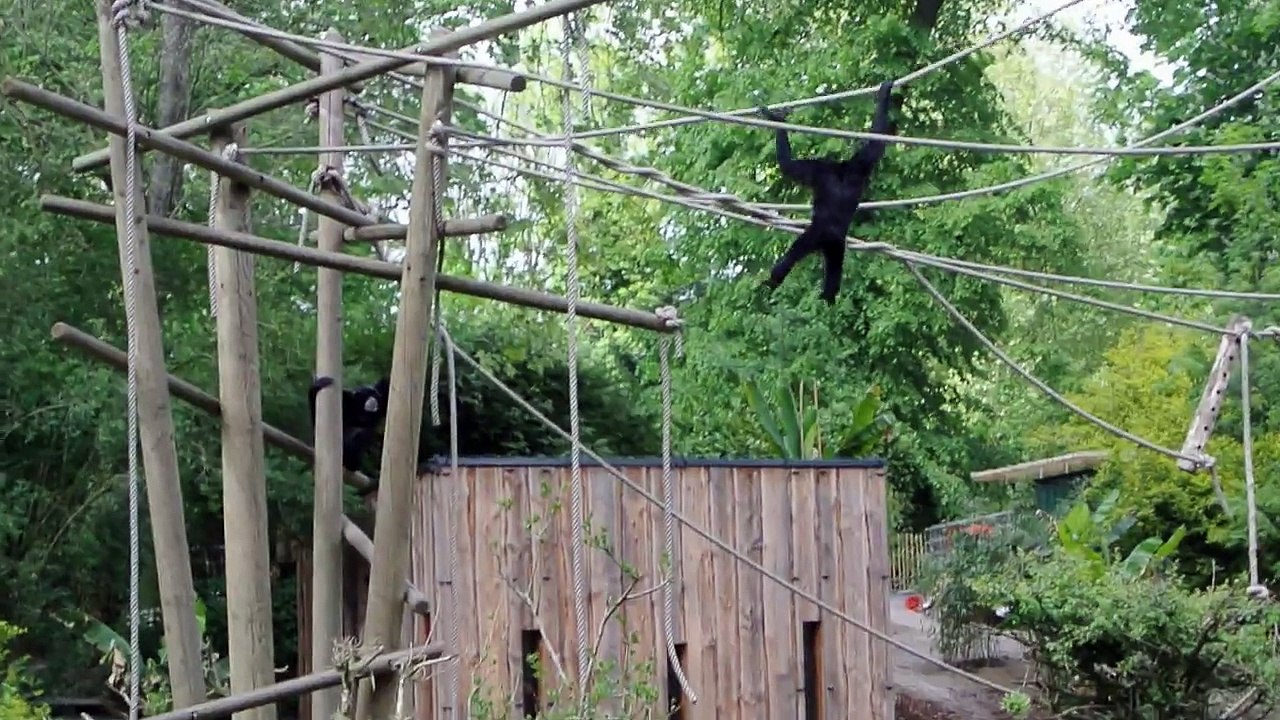 Zoo de Lille