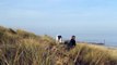 Grey Seals of Horsey Beach Norfolk