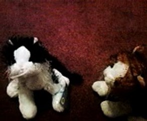 Webkinz~Funny Replay