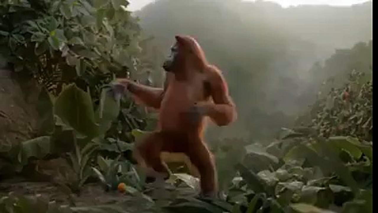 432386093603293.mp4