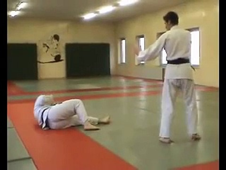 demo judo ju-jitsu self defense