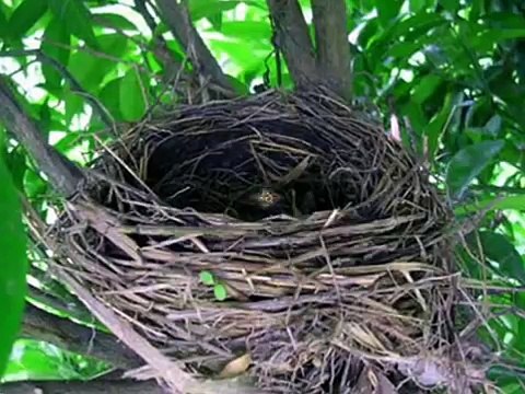 Obreiros do Senhor-Bispo Marcelo Crivella