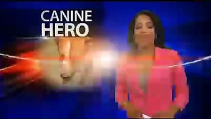 Loyal dog saves homeless owner's life by delivering a note