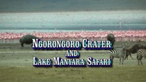 Wild Animals of Africa-Ngorongoro Crater-Tanzania