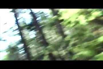 Police Attack Kiddie Village, Rainbow Gathering '08, clip1