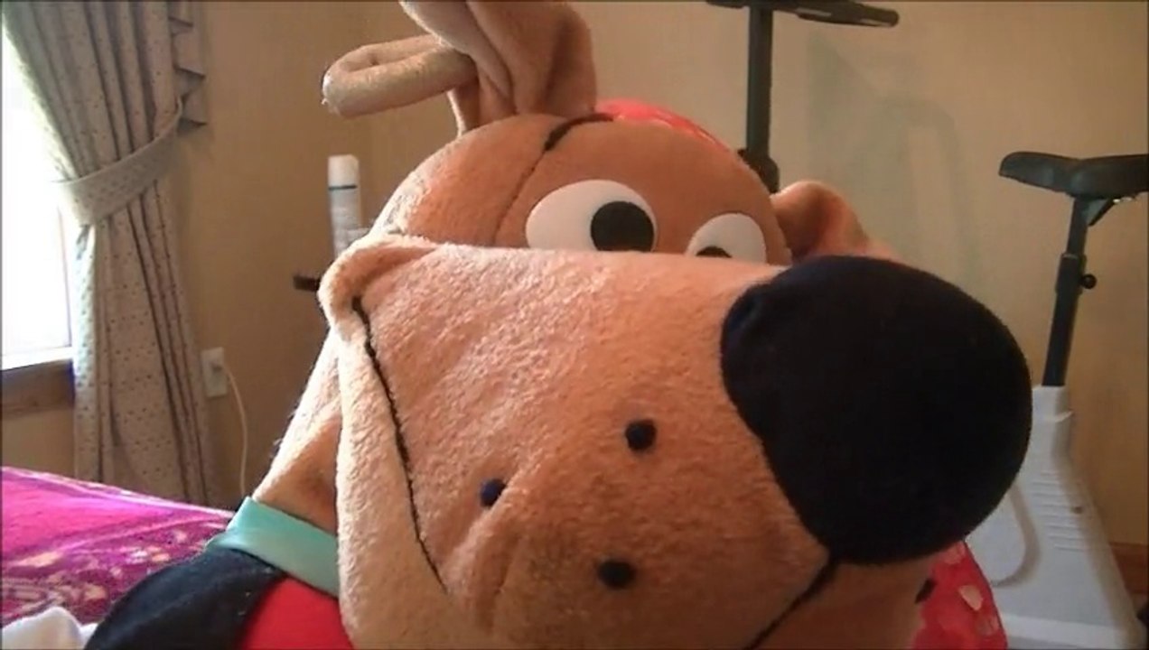 Scooby Doo's Quest