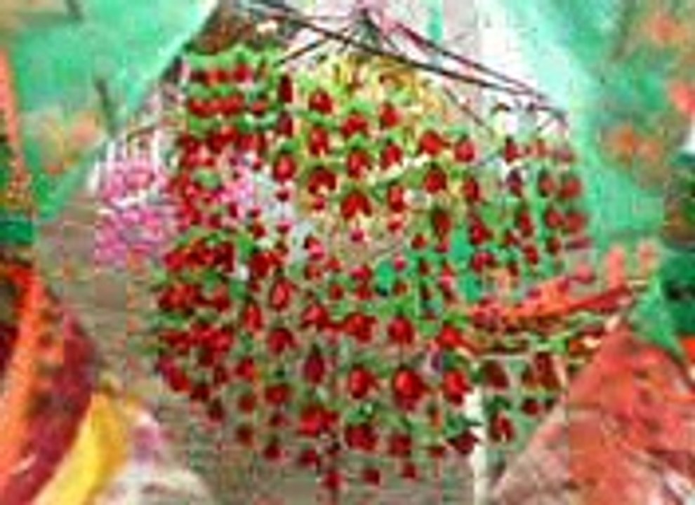 MILAD 2015 AH