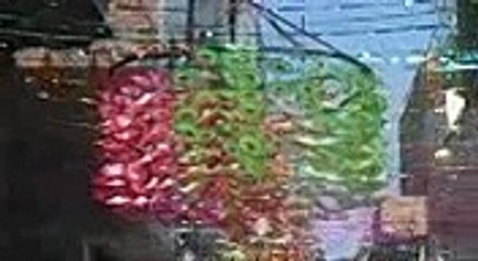 MILAD HAZRET IMAM ALI  (A.A) 2015