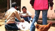 Indigenous education in Cusco, Peru/Educación indígena en Cuzco, Perú