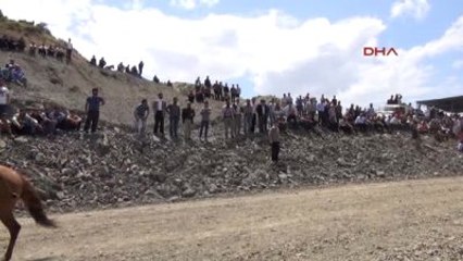 Mardin'de, Rahvan At Şampiyonası Yapıldı