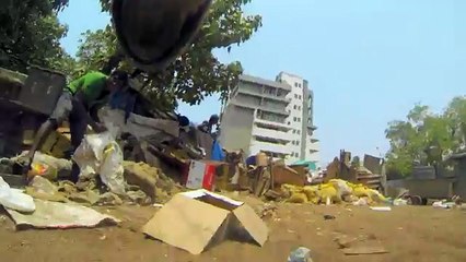Así es la vida cotidiana de un perro callejero