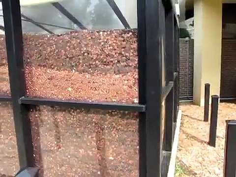 50,000,000 Pennies for 50 million aborted babies