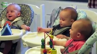 Funny Triplet Babies Laughing Compilation -