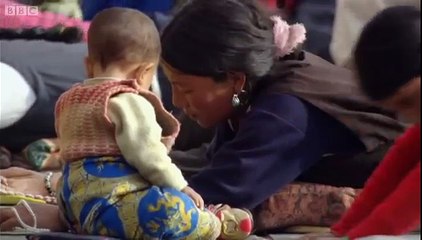 Tibet and the Himalayas - Wild China - BBC