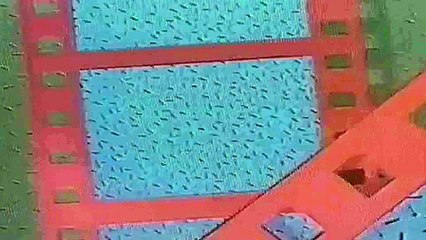 Identificador TELEDOS LS 86 TV Canal 2 La Plata 1987 88