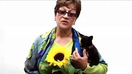 Actores, Actrices, la Cultura con Mockus y Fajardo !