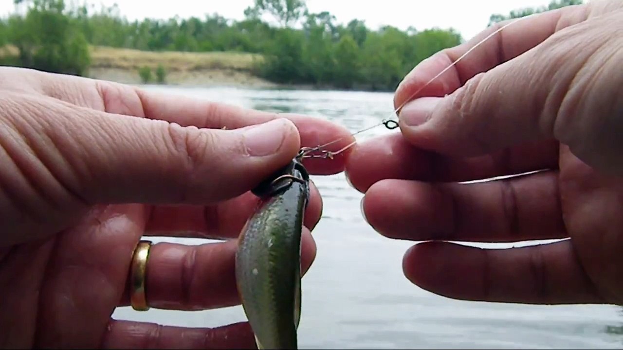 PECHE GROS SANDRE EN GARONNE