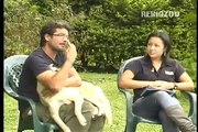 Lenguaje Canino  Generalidades  FOGAUS Escuela de Adiestramiento Canino  REINOZOO